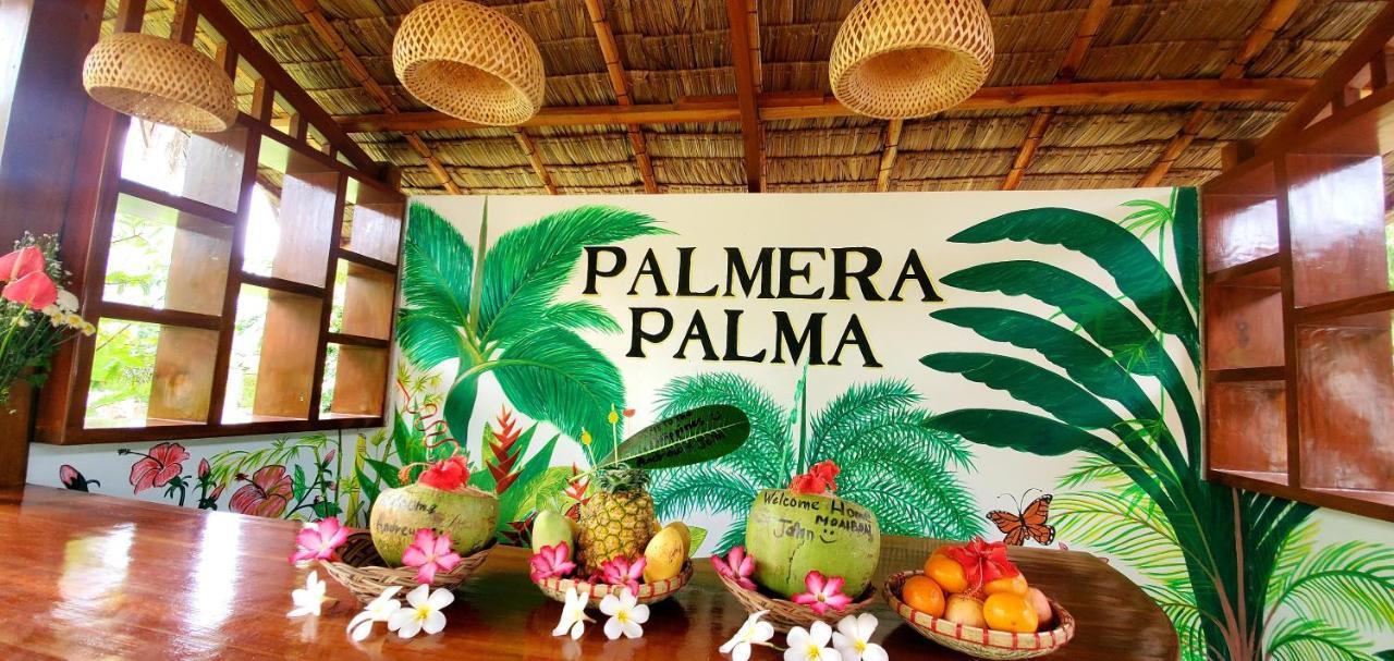 Palmera Palma Garden Level Moalboal Dış mekan fotoğraf